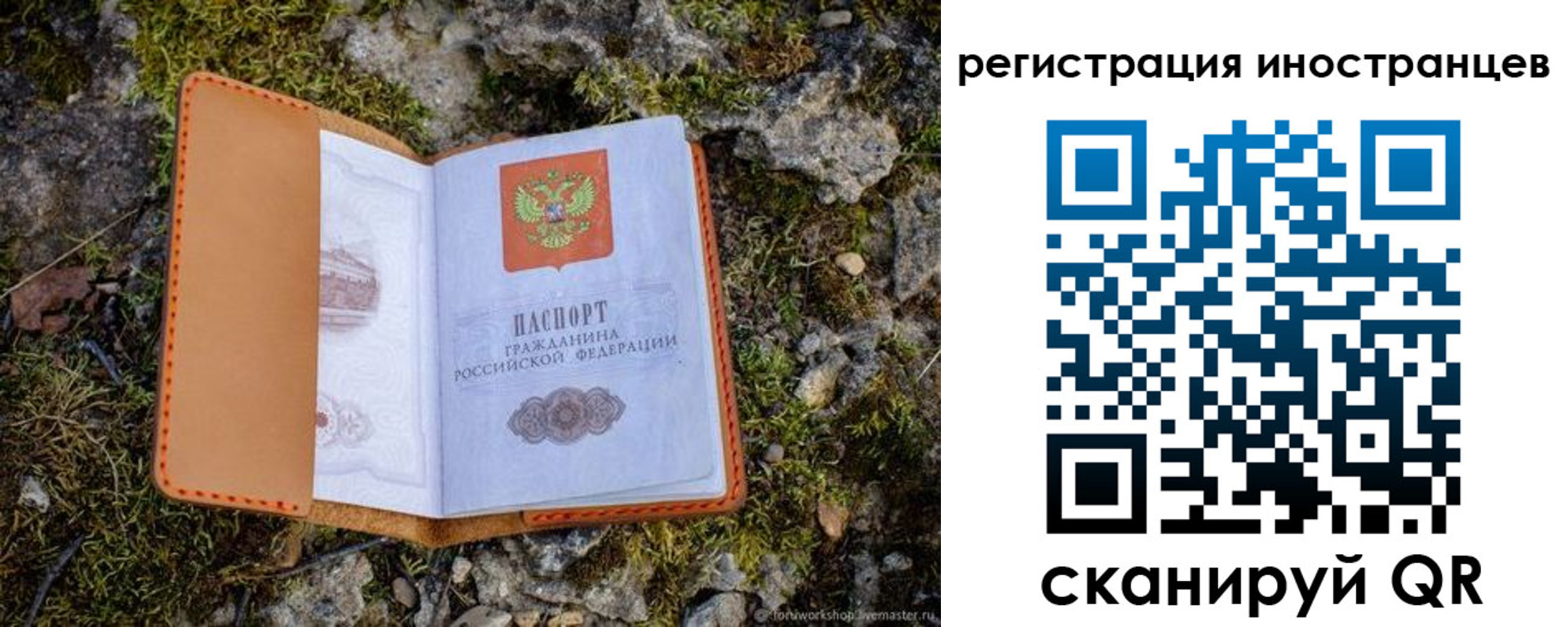 прописка паспорт в Светлогорске