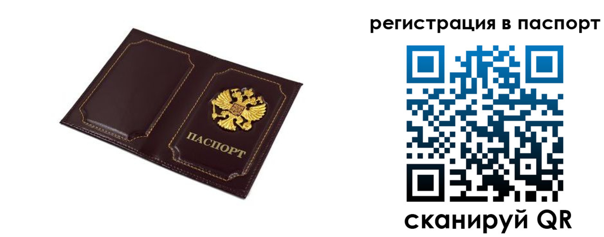 миграционный учет в Светлогорске
